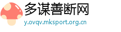 多谋善断网